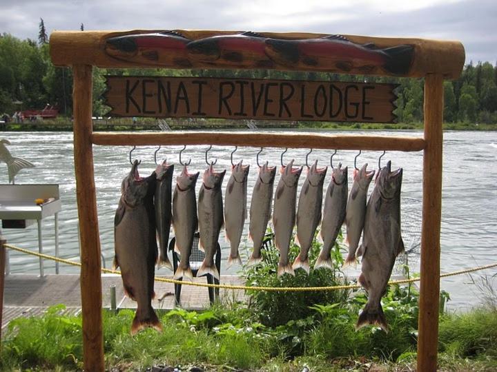 Kenai River Lodge Солдотна Экстерьер фото